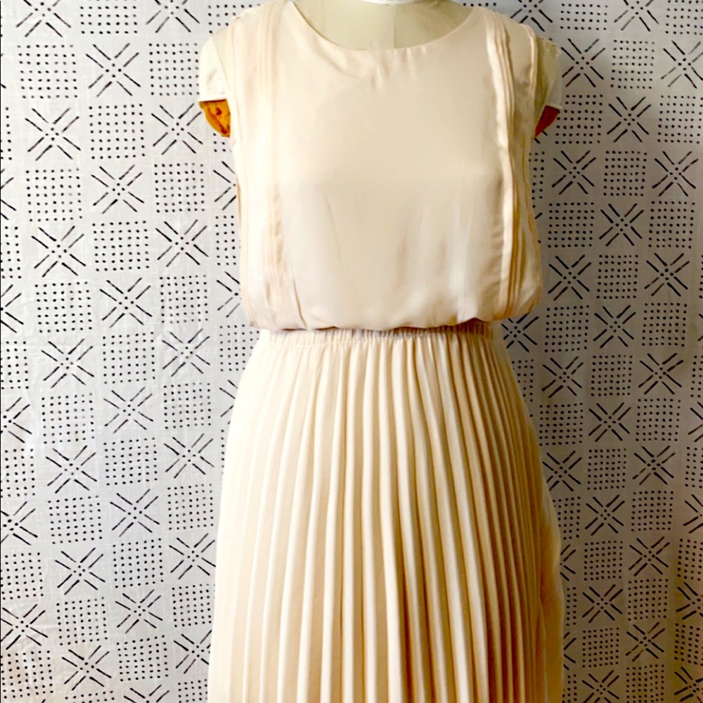 Beautiful Pleated bottom dress